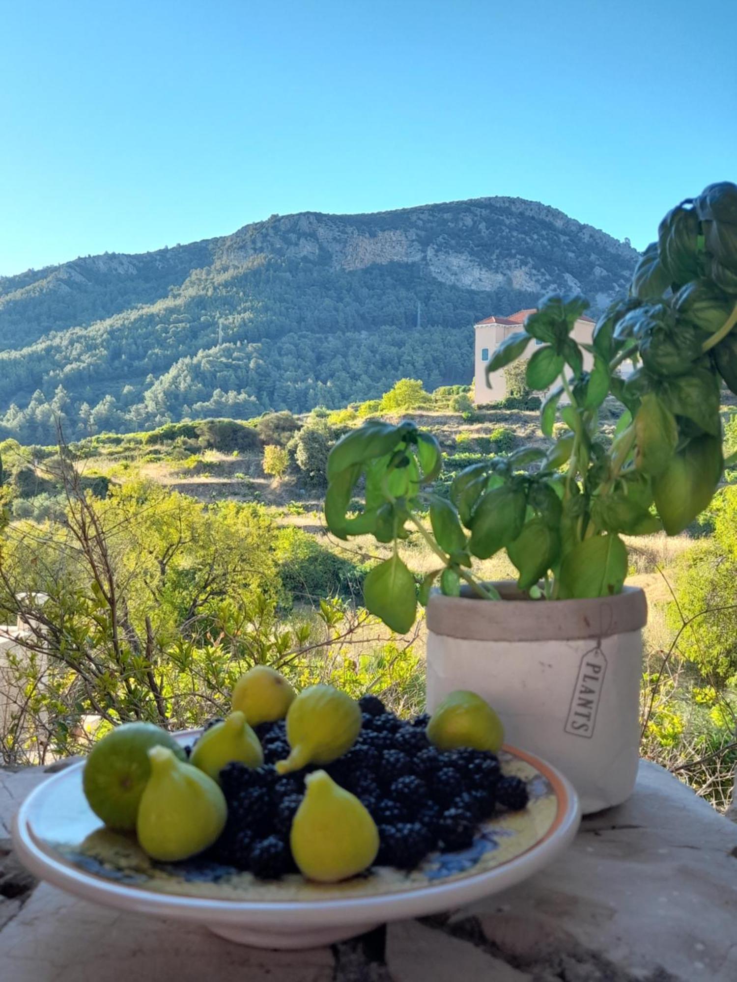 Hvar Architect'S House Pitve 外观 照片